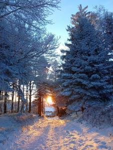 Welcome in Sainte Marie Master House