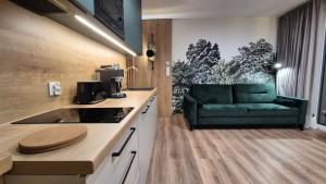 Black Hill Pod Zieleńcem Apartament GOLD Nr3