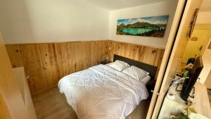 La foux d allos Superbe appartement 6 couchages ,piscine