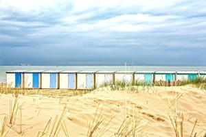 Leffet Dune