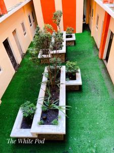 The White Pod-Deluxe