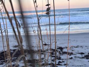 Villa Fiorō -Bold Luxury 2BR - River & Coastal Vibe