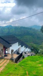 Feliz by slowlane stays