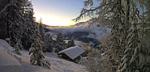 Les Hauts du Pâquier