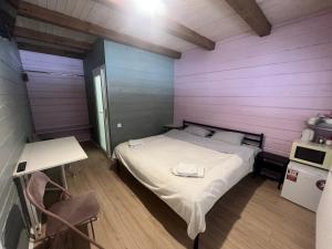 Кольорове життя