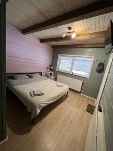 Кольорове життя