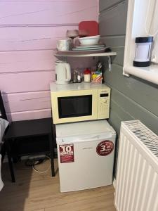 Кольорове життя