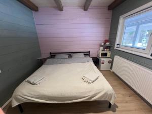 Кольорове життя