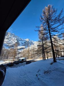 Hornpeak, apartment on the slopes of Cielo Alto, Cervinia