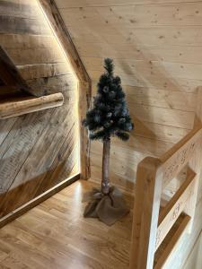 Smrekówka Apartamenty - Zakopane, spokojna okolica blisko centrum