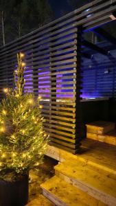 Kataja Chalet with sauna and jacuzzi