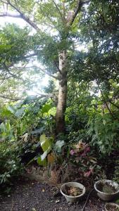 Beautiful 3 bedrooms house close to Airport