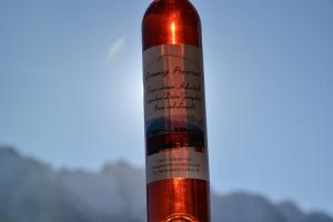 Apartment Grimmingpanorama