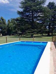 Cabañas Cuncumen