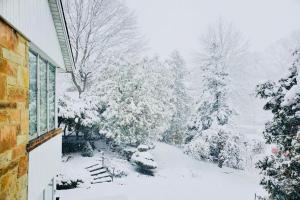 Cottage like home in Toronto