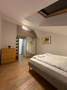 Apartment next to Wawel Castle and the Vistula River, air conditioning