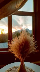 Eco-apartmány DOMA POD JAVOROM - Jacuzzi & MountainView