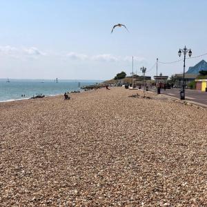 Garden Studio in Southsea, Portsmouth - Free Wi-Fi & Private Entrance #5