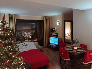 Terra complex -D6 - Balkan private apartment-Spa Sking Golf and Relax