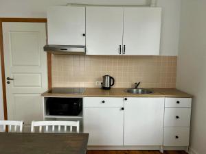 Spacious one bedroom Ausekļa apartment