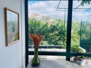 Sunny Escape - Ponta do Sol - Vila Silva Downstairs