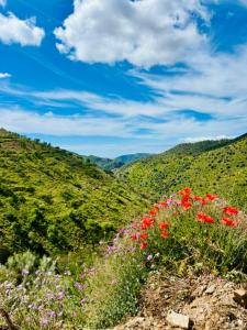 La Mimosa, beautiful villa with swimming pool and sea view