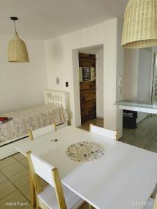 PEATONAL Y SAN MARTIN MONOAMBIENTE