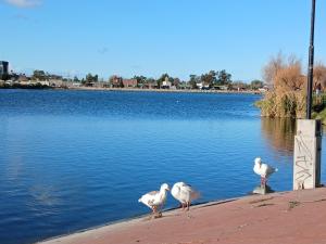 Habitación Privada en una amplia casa a metros de una laguna natural