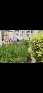 Departamento cerca enjoy coquimbo