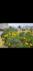 Departamento cerca enjoy coquimbo