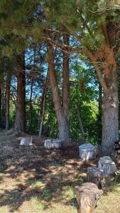 Cabaña 4 Acogedora en un entorno natural