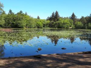 Secluded Pool Retreat - By Traum Ferienwohnungen