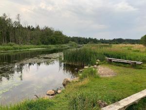 5 person holiday home in Fårvang-By Traum