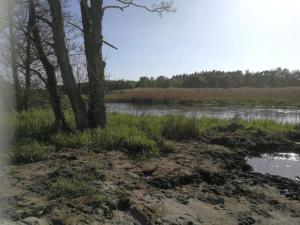 5 person holiday home in Fårvang-By Traum