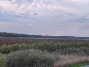 8 person holiday home in Gjern-By Traum