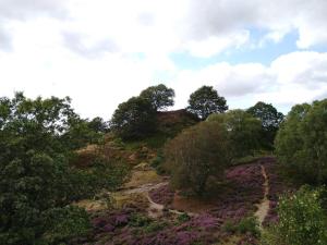 8 person holiday home in Gjern-By Traum