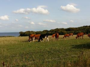 6 person holiday home in Roslev