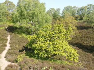 8 person holiday home in Gjern-By Traum