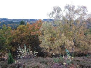 8 person holiday home in Gjern-By Traum