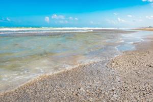 Welcome to The Juni-The Streets