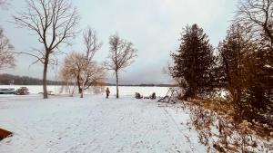 Cozy Lakefront Cottage - Canoeing, Fishing, Swimming & Firepit