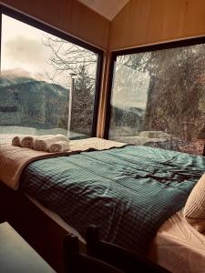 TogetherNest - Cedar