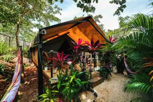 Glamping Hotel Flor y Bambu