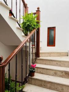 Santuario 71 Lofts and apartments