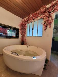 Studio com hidromassagem em Guararema