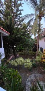 Oasis Wellness Room Bavaro