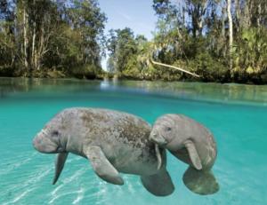 Trendy cozy unit near Spring