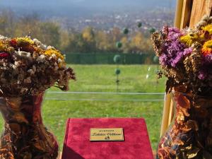 Zatežića vidikovac