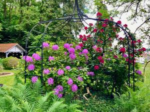 Haus Haselmaus - Zaunkönig