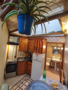 The Duke Residence Traditional Apartment